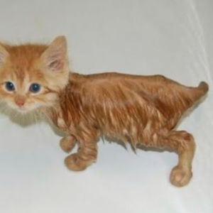 Meet your Posher, Haylee